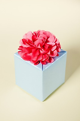 포토 JPG 스튜디오촬영 식물 꽃 리본 백그라운드 포장 실내 선물포장 선물 사람없음 장식 선물상자 상자 오브젝트 국내포토 내부 파일형식