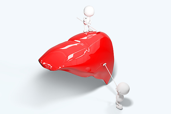 PSD 편집이미지 캐릭터 인형 의학 의료기기 3D캐릭터 병원 사람없음 신체부위 그래픽 치료 3D소스 3D 모형 피규어 의료용품 소화기관 장기 빗자루 청소 간 편집소스 편집3D 신체 사람 미니어처 장기_의학 청소도구 디지털합성 파일형식