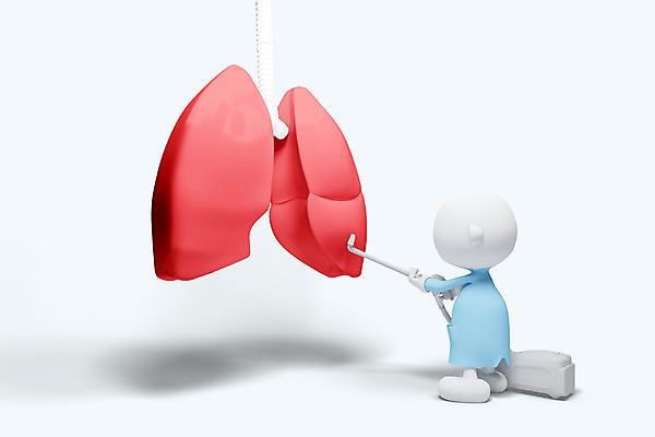 PSD 편집이미지 캐릭터 인형 의학 의료기기 3D캐릭터 병원 사람없음 신체부위 그래픽 치료 3D소스 3D 모형 피규어 의료용품 허파 호흡기관 장기 청소 청소기 편집소스 편집3D 신체 사람 전자제품 미니어처 장기_의학 청소도구 디지털합성 파일형식