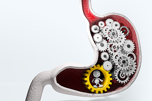 PSD 편집이미지 캐릭터 인형 의학 의료기기 3D캐릭터 병원 사람없음 신체부위 그래픽 치료 3D소스 3D 모형 피규어 의료용품 소화기관 장기 톱니바퀴 위장 태엽 기능 편집소스 편집3D 신체 사람 미니어처 장기_의학 디지털합성 파일형식