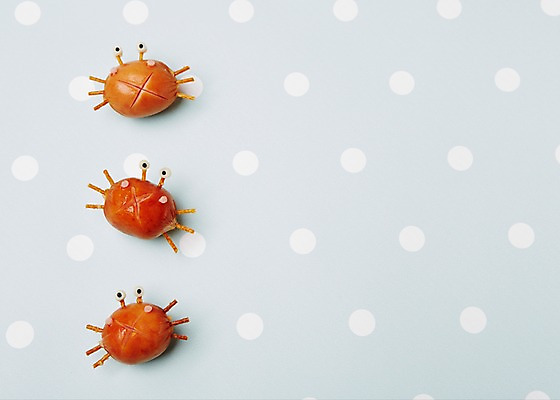 포토 JPG 스튜디오촬영 모양 음식 컨셉 식재료 재료 사람없음 장식 귀여움 꽃게 게 소시지 햄 국내포토 실내 육류 갑각류 가공식품 파일형식