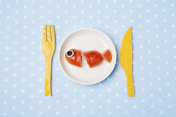 포토 JPG 스튜디오촬영 모양 그릇 식기 접시 음식 포크 컨셉 식재료 재료 치즈 어류 사람없음 장식 귀여움 소시지 나이프 햄 슬라이스 국내포토 유제품 실내 육류 수중동물 가공식품 칼 파일형식