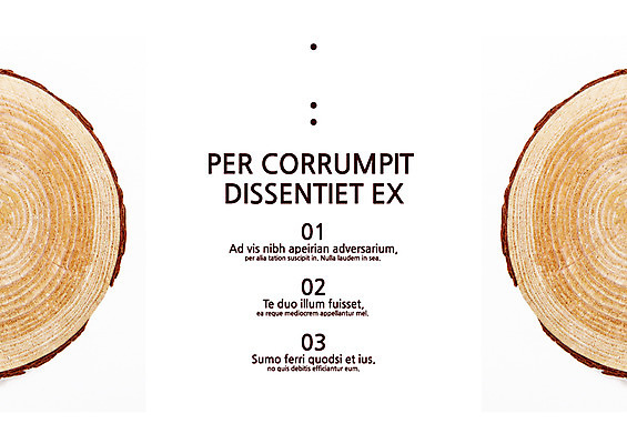 나무 식물 템플릿 내지 텍스트 단면 사람없음 프레젠테이션 문서템플릿 서식 레이아웃 문서 제안서 나무토막 나이테 목차 이미지템플릿 AI파일 파일형식 벡터