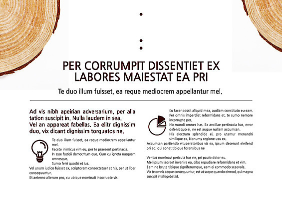 나무 식물 템플릿 내지 전구 텍스트 단면 그래프 사람없음 프레젠테이션 문서템플릿 서식 레이아웃 문서 제안서 나무토막 나이테 이미지템플릿 AI파일 파일형식 벡터