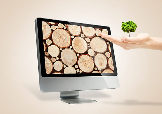 PSD 나무 식물 편집 편집이미지 손 백그라운드 사람 목재 신체부위 컴퓨터 모니터 식목일 합성 통나무 이미지편집 기념일 재료 전자제품 파일형식
