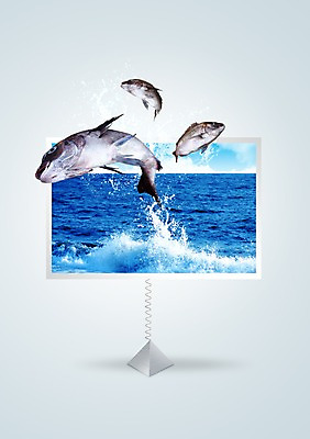 도형 PSD 편집 편집이미지 바다 백그라운드 어류 사람없음 물 바다동물 봄 튀김 용수철 삼각형 해산물 합성 튀는물 기념사진 이미지편집 자연요소 동물 계절 음식 수중동물 액체표현 스플래쉬 파일형식