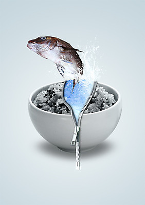 PSD 편집 편집이미지 그릇 음식 백그라운드 밥 어류 사람없음 물 봄 튀김 해산물 디지털합성 합성 튀는물 지퍼 밥그릇 현미밥 이미지편집 자연요소 식기 계절 수중동물 액체표현 스플래쉬 파일형식