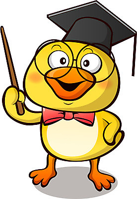 동물 캐릭터 모자 한마리 교육 리본 안경 동물캐릭터 일러스트 학사모 교육캐릭터 들기 사람없음 막대기 새캐릭터 병아리캐릭터 일러캐릭터 AI파일 모자_잡화 1 잡화 졸업 모션 조류 병아리 파일형식 벡터