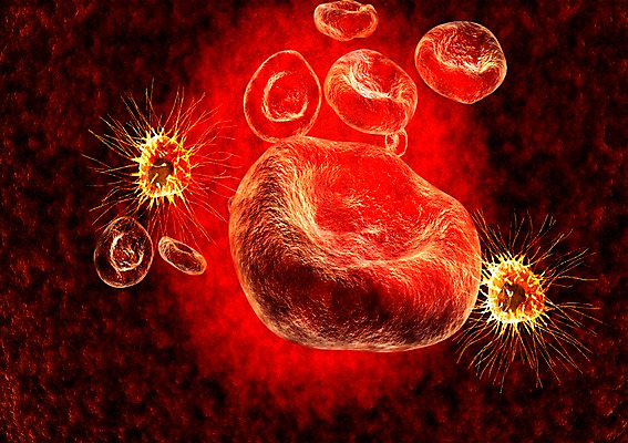 PSD 편집이미지 백그라운드 신체 의학 생명 세포 현미경 사람없음 라이프 컴퓨터그래픽 그래픽 치료 3D소스 3D 조직 혈액 바이러스 생명공학 입체 감염 박테리아 편집소스 편집3D 실험기구 생활 디지털합성 파일형식