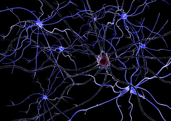 PSD 편집이미지 백그라운드 신체 의학 생명 세포 현미경 사람없음 라이프 컴퓨터그래픽 그래픽 치료 3D소스 3D 조직 바이러스 생명공학 입체 감염 박테리아 편집소스 편집3D 실험기구 생활 디지털합성 파일형식