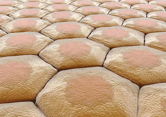 PSD 편집이미지 백그라운드 신체 의학 생명 세포 현미경 사람없음 라이프 컴퓨터그래픽 그래픽 치료 3D소스 3D 조직 생명공학 입체 핵 편집소스 편집3D 실험기구 생활 디지털합성 파일형식