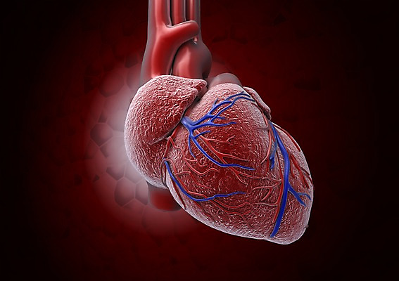 PSD 편집이미지 백그라운드 신체 의학 생명 세포 현미경 사람없음 라이프 컴퓨터그래픽 그래픽 치료 3D소스 3D 심장 조직 질병 생명공학 입체 감염 혈관 박테리아 동맥 정맥 편집소스 편집3D 실험기구 생활 장기_의학 디지털합성 파일형식