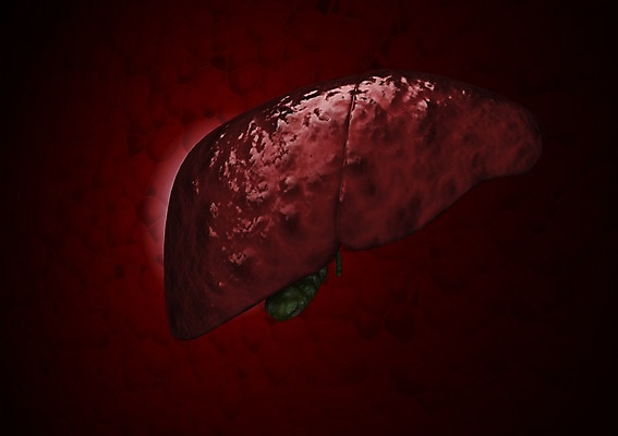 PSD 편집이미지 백그라운드 신체 의학 생명 현미경 사람없음 라이프 컴퓨터그래픽 그래픽 치료 3D소스 3D 조직 질병 생명공학 입체 간 감염 박테리아 쓸개 편집소스 편집3D 실험기구 생활 장기_의학 디지털합성 파일형식