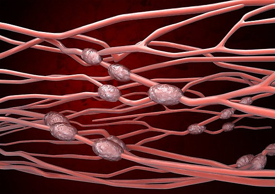 PSD 편집이미지 백그라운드 신체 의학 생명 세포 현미경 사람없음 라이프 컴퓨터그래픽 그래픽 치료 3D소스 3D 조직 바이러스 생명공학 입체 감염 박테리아 편집소스 편집3D 실험기구 생활 디지털합성 파일형식