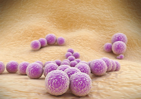 PSD 편집이미지 백그라운드 신체 의학 생명 세포 현미경 사람없음 라이프 컴퓨터그래픽 그래픽 치료 3D소스 3D 조직 생명공학 입체 편집소스 편집3D 실험기구 생활 디지털합성 파일형식