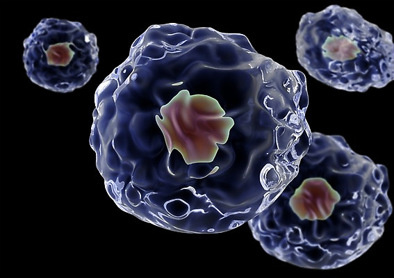 PSD 편집이미지 백그라운드 신체 의학 생명 세포 현미경 사람없음 라이프 컴퓨터그래픽 그래픽 치료 3D소스 3D 조직 생명공학 입체 핵 편집소스 편집3D 실험기구 생활 디지털합성 파일형식