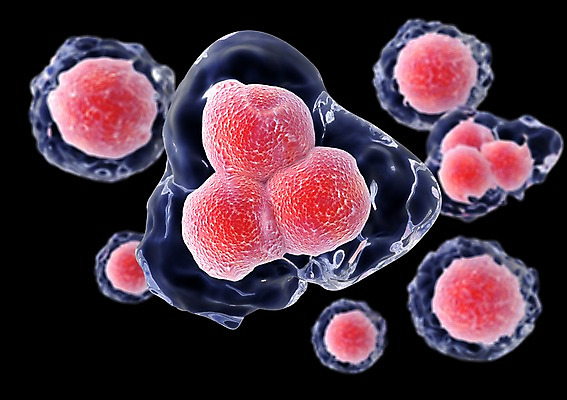 PSD 편집이미지 백그라운드 신체 의학 생명 세포 현미경 사람없음 라이프 컴퓨터그래픽 그래픽 치료 3D소스 3D 조직 생명공학 입체 핵 세포분열 편집소스 편집3D 실험기구 생활 디지털합성 파일형식