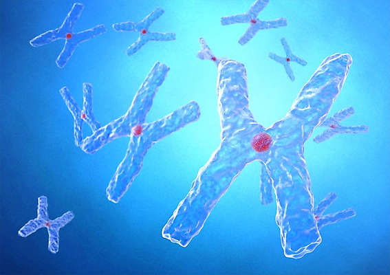 PSD 편집이미지 백그라운드 신체 의학 생명 세포 현미경 사람없음 라이프 컴퓨터그래픽 그래픽 치료 3D소스 3D 조직 생명공학 입체 편집소스 편집3D 실험기구 생활 디지털합성 파일형식