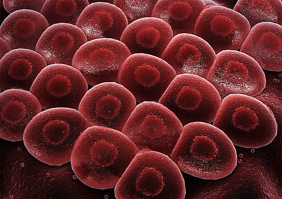 PSD 편집이미지 백그라운드 신체 의학 생명 세포 현미경 사람없음 라이프 컴퓨터그래픽 그래픽 치료 3D소스 3D 조직 생명공학 입체 핵 편집소스 편집3D 실험기구 생활 디지털합성 파일형식