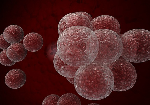 PSD 편집이미지 백그라운드 신체 의학 생명 세포 현미경 사람없음 라이프 컴퓨터그래픽 그래픽 치료 3D소스 3D 조직 생명공학 입체 편집소스 편집3D 실험기구 생활 디지털합성 파일형식