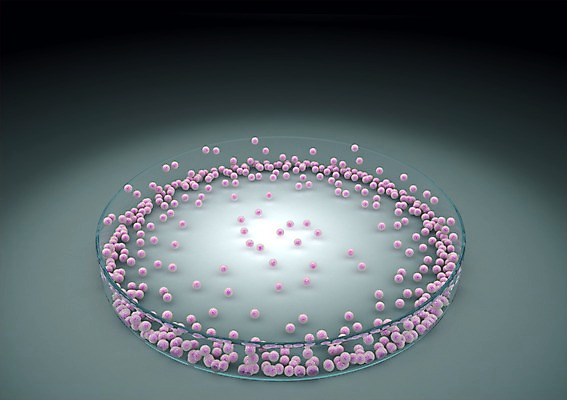 PSD 편집이미지 백그라운드 신체 의학 생명 세포 현미경 사람없음 라이프 컴퓨터그래픽 그래픽 치료 3D소스 3D 조직 생명공학 입체 편집소스 편집3D 실험기구 생활 디지털합성 파일형식