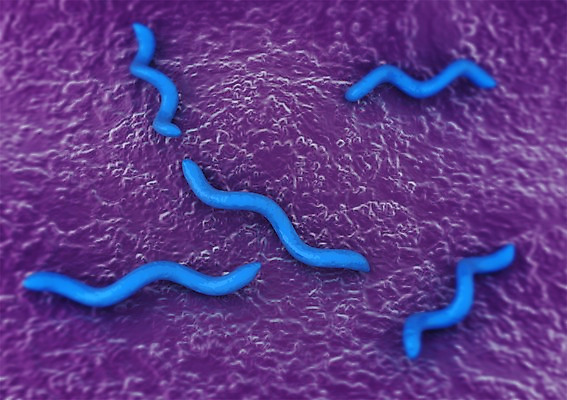 PSD 편집이미지 백그라운드 신체 의학 생명 세포 현미경 사람없음 라이프 컴퓨터그래픽 그래픽 치료 3D소스 3D 조직 바이러스 생명공학 입체 박테리아 편집소스 편집3D 실험기구 생활 디지털합성 파일형식