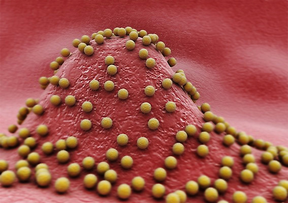 PSD 편집이미지 백그라운드 신체 의학 생명 세포 현미경 사람없음 라이프 컴퓨터그래픽 그래픽 치료 3D소스 3D 조직 생명공학 입체 박테리아 편집소스 편집3D 실험기구 생활 디지털합성 파일형식