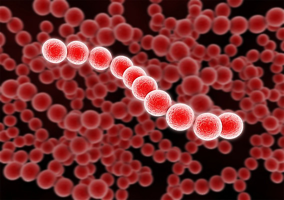 PSD 편집이미지 백그라운드 신체 의학 생명 세포 현미경 사람없음 라이프 컴퓨터그래픽 그래픽 치료 3D소스 3D 조직 바이러스 생명공학 입체 감염 박테리아 편집소스 편집3D 실험기구 생활 디지털합성 파일형식