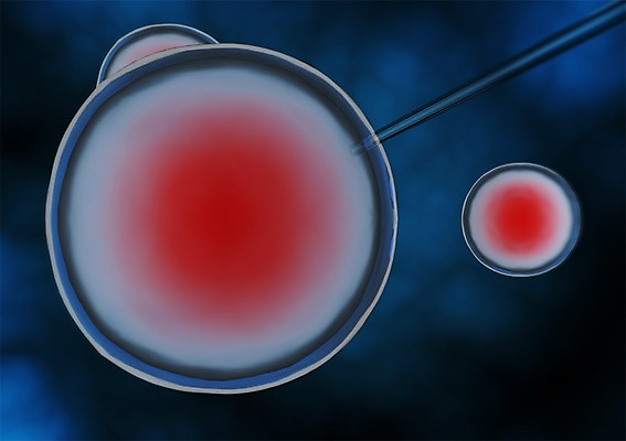 PSD 편집이미지 백그라운드 신체 의학 생명 세포 현미경 사람없음 라이프 컴퓨터그래픽 그래픽 치료 3D소스 3D 조직 생명공학 입체 검사_조사 박테리아 편집소스 편집3D 실험기구 생활 디지털합성 파일형식
