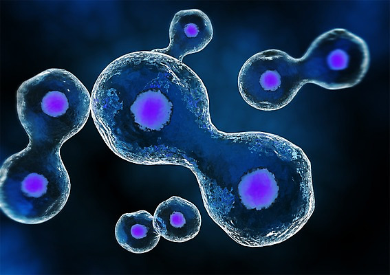 PSD 편집이미지 백그라운드 신체 의학 생명 세포 현미경 사람없음 라이프 컴퓨터그래픽 그래픽 치료 3D소스 3D 조직 생명공학 입체 핵 세포분열 편집소스 편집3D 실험기구 생활 디지털합성 파일형식