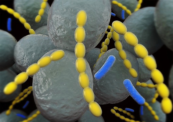 PSD 편집이미지 백그라운드 신체 의학 생명 세포 현미경 사람없음 라이프 컴퓨터그래픽 그래픽 치료 3D소스 3D 조직 생명공학 입체 편집소스 편집3D 실험기구 생활 디지털합성 파일형식