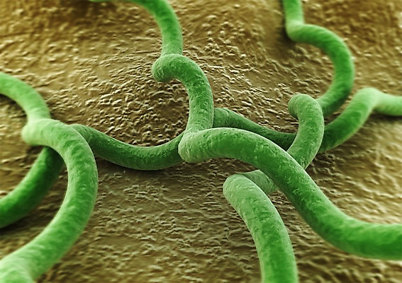 PSD 편집이미지 백그라운드 신체 의학 생명 세포 현미경 사람없음 라이프 컴퓨터그래픽 그래픽 치료 3D소스 3D 조직 생명공학 입체 편집소스 편집3D 실험기구 생활 디지털합성 파일형식