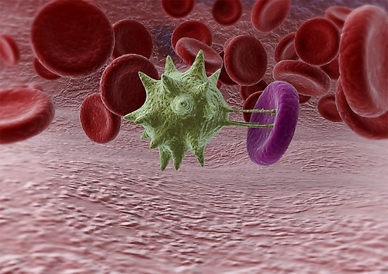 PSD 편집이미지 백그라운드 신체 의학 생명 세포 현미경 사람없음 라이프 컴퓨터그래픽 그래픽 치료 3D소스 3D 조직 혈액 생명공학 입체 혈관 박테리아 편집소스 편집3D 실험기구 생활 장기_의학 디지털합성 파일형식