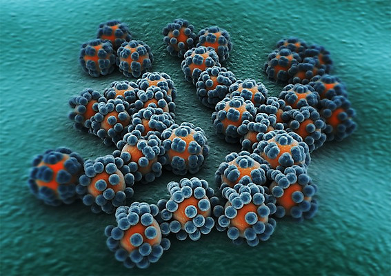 PSD 편집이미지 백그라운드 신체 의학 생명 세포 현미경 사람없음 라이프 컴퓨터그래픽 그래픽 치료 3D소스 3D 조직 생명공학 입체 박테리아 편집소스 편집3D 실험기구 생활 디지털합성 파일형식