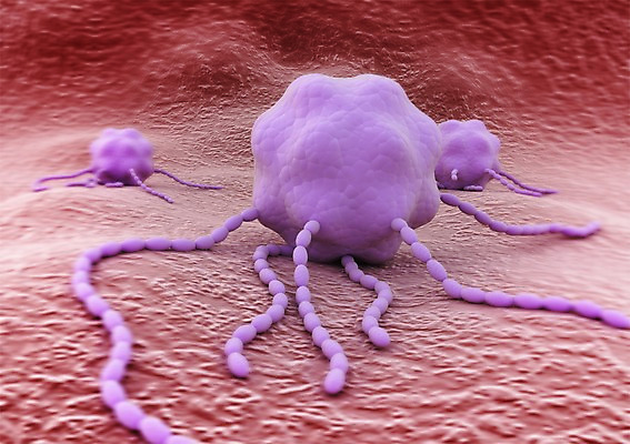 PSD 편집이미지 백그라운드 신체 의학 생명 세포 현미경 사람없음 라이프 컴퓨터그래픽 그래픽 치료 3D소스 3D 조직 생명공학 입체 박테리아 편집소스 편집3D 실험기구 생활 디지털합성 파일형식