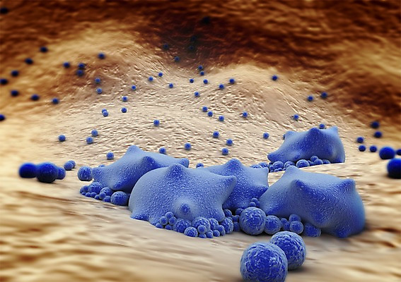 PSD 편집이미지 백그라운드 신체 의학 생명 세포 현미경 사람없음 라이프 컴퓨터그래픽 그래픽 치료 3D소스 3D 조직 생명공학 입체 박테리아 편집소스 편집3D 실험기구 생활 디지털합성 파일형식