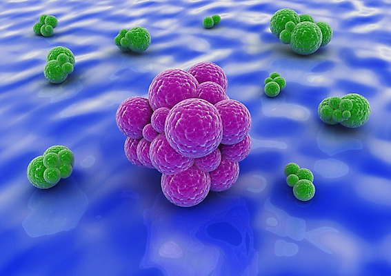 PSD 편집이미지 백그라운드 신체 의학 생명 세포 현미경 사람없음 라이프 컴퓨터그래픽 그래픽 치료 3D소스 3D 조직 생명공학 입체 박테리아 편집소스 편집3D 실험기구 생활 디지털합성 파일형식