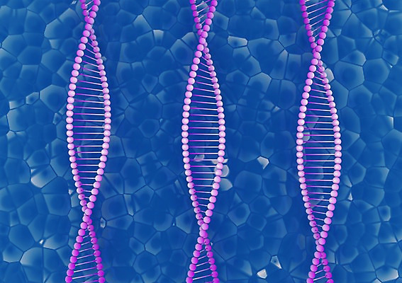 PSD 편집이미지 백그라운드 의학 생명 세포 현미경 사람없음 라이프 컴퓨터그래픽 그래픽 치료 3D소스 3D 조직 DNA 생명공학 입체 편집소스 편집3D 실험기구 생활 디지털합성 파일형식