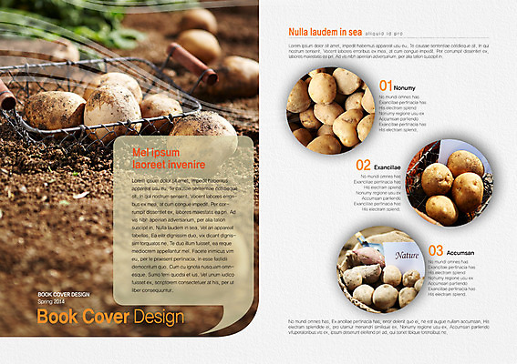 PSD 템플릿 편집 표지디자인 북디자인 출판디자인 내지 종이 음식 백그라운드 채소 북커버 감자 팜플렛 사람없음 바구니 흙 이미지템플릿 카드프레임 프레임 파일형식