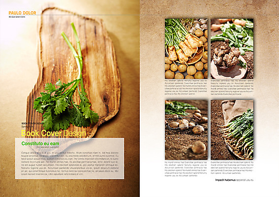 PSD 템플릿 편집 접시 표지디자인 북디자인 출판디자인 내지 음식 백그라운드 채소 북커버 감자 쟁반 팜플렛 사람없음 바구니 흙 무 생강 열무 총각무 치커리 이미지템플릿 식기 뿌리채소 파일형식