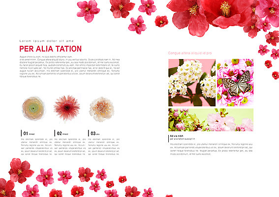 PSD 식물 동물 템플릿 편집 표지디자인 북디자인 출판디자인 꽃 내지 분홍색 컬러 나비 곤충 백그라운드 잎 북커버 이벤트 팜플렛 사람없음 빨간색 축제 흰색 꽃박람회 박람회 이미지템플릿 파일형식