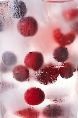 포토 JPG 스튜디오촬영 음료 음식 과일 잔 실내 사람없음 컵 얼음 블루베리 크랜베리 국내포토 자연요소 식기 열매 내부 파일형식