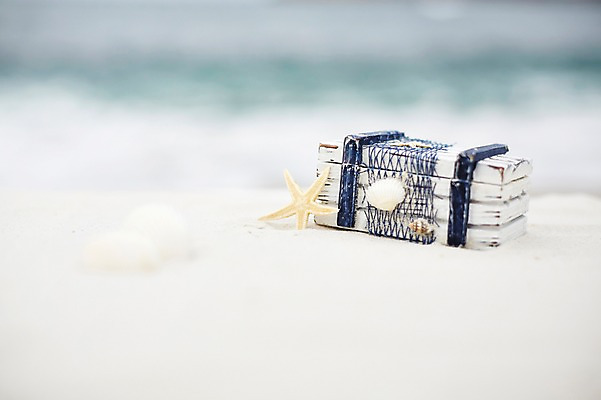 포토 JPG 주간 계절 모래 바다 배경화면 백그라운드 조개 불가사리 풍경 해변 사람없음 야외 아웃포커스 여름 상자 모래사장 여름풍경 오브젝트 보물상자 국내포토 자연요소 어패류 극피동물 촬영기법 파일형식 여름_계절