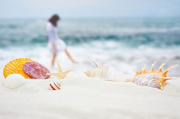 포토 JPG 주간 전신 계절 여자 모래 파도 바다 조개 불가사리 한명 서기 사람 풍경 성인 해변 야외 아웃포커스 여름 모래사장 여름풍경 소라 여자한명만 국내포토 자연요소 1 모션 어패류 극피동물 촬영기법 여자만 파일형식 여름_계절