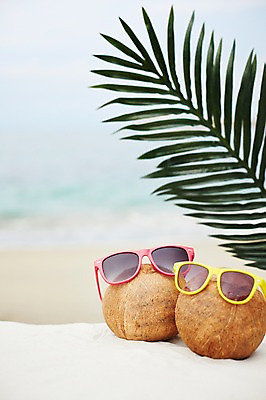 포토 JPG 주간 식물 계절 열매 모래 바다 잎 과일 나뭇잎 풍경 해변 사람없음 야외 아웃포커스 여름 모래사장 선글라스 여름풍경 코코넛 국내포토 자연요소 안경 촬영기법 파일형식 여름_계절