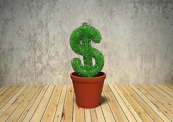 PSD 식물 편집이미지 기호 화분 벽 백그라운드 돈 사람없음 컴퓨터그래픽 그래픽 금융 경제 3D소스 3D 달러 화폐기호 나무바닥 편집소스 편집3D 문자 바닥 재산 화폐 디지털합성 파일형식