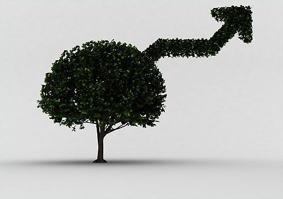 PSD 나무 식물 편집이미지 화살표 백그라운드 나뭇잎 그림자 사람없음 컴퓨터그래픽 그래픽 3D소스 3D 방향 상승 편집소스 편집3D 컨셉 잎 디지털합성 파일형식