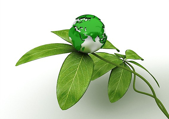 PSD 식물 편집이미지 지구 줄기 컬러 백그라운드 나뭇잎 그림자 사람없음 컴퓨터그래픽 그래픽 초록색 글로벌 지구본 3D소스 3D 편집소스 편집3D 잎 디지털합성 파일형식