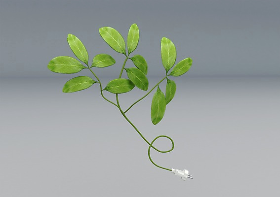 PSD 식물 편집이미지 캠페인 줄기 백그라운드 나뭇잎 사람없음 컴퓨터그래픽 그래픽 초록색 3D소스 3D 자연보호 환경 그린캠페인 에너지 그린에너지 플러그 코드 전기에너지 편집소스 편집3D 컬러 잎 자연 보호 디지털합성 파일형식