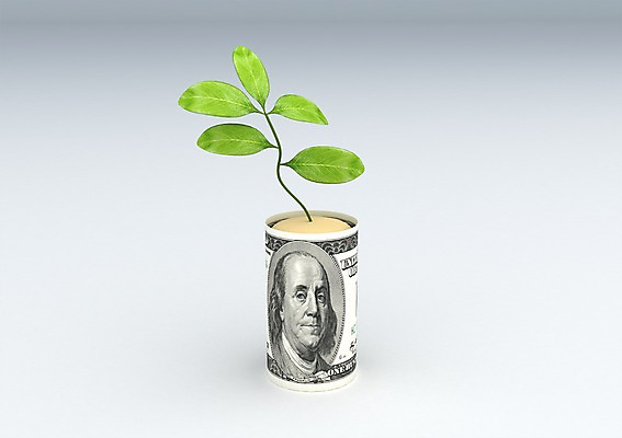 PSD 식물 편집이미지 모래 백그라운드 지폐 돈 나뭇잎 사람없음 컴퓨터그래픽 그래픽 금융 경제 3D소스 3D 새싹 달러 말린_둥글게 편집소스 편집3D 컨셉 잎 재산 디지털합성 파일형식